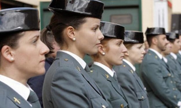 RESUMEN G.T PROTOCOLO DE ACTUACIÓN ANTE SITUACIONES  DE VIOLENCIA SOBRE LA MUJER QUE AFECTEN A PERSONAL DE LA GUARDIA CIVIL.