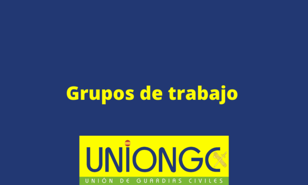Resumen Grupo de Trabajo Fichas de Méritos – UnionGC