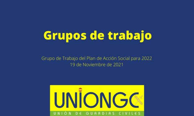 Grupo de Trabajo del Plan de Acción Social para el 2022