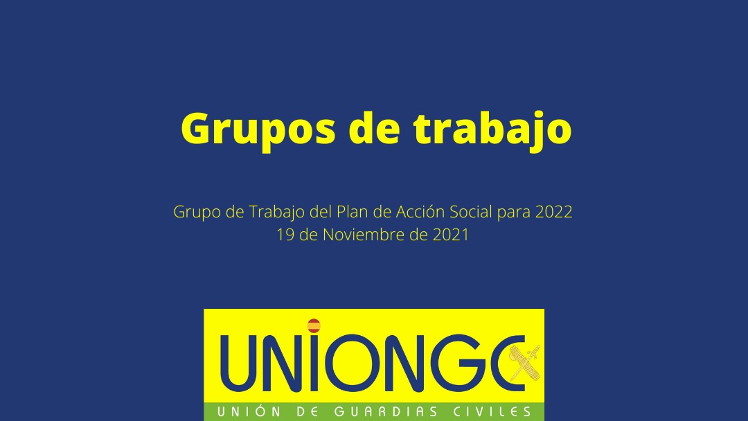 Grupo de Trabajo del Plan de Acción Social para el 2022