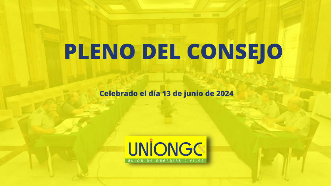 PLENO DEL CONSEJO DEL DÍA 13 DE JUNIO DE 2024 – GUARDIA CIVIL