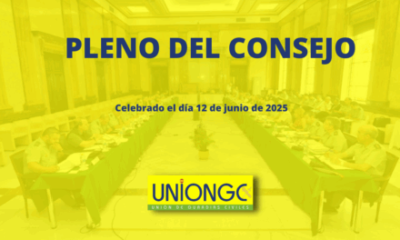 PLENO DEL CONSEJO DEL DÍA 12 DE JUNIO DE 2025