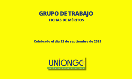 2º GRUPO DE TRABAJO FICHAS DE MÉRITOS