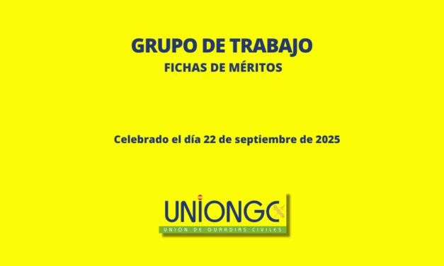 2º GRUPO DE TRABAJO FICHAS DE MÉRITOS