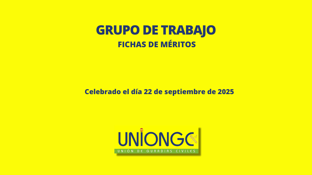 2º GRUPO DE TRABAJO FICHAS DE MÉRITOS