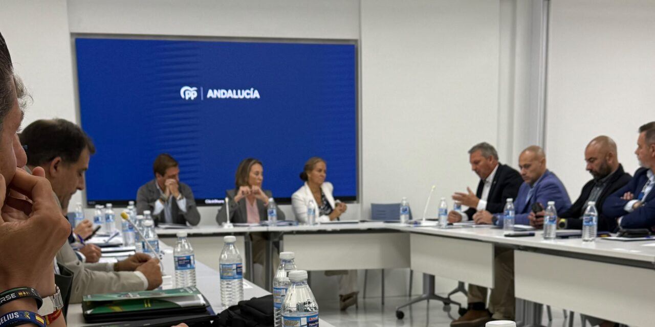 UNIÓN DE GUARDIAS CIVILES RECLAMA AL PP UN AUMENTO DE 18.000 AGENTES PARA HACER EFECTIVOS SUS COMPROMISOS CON LA GUARDIA CIVIL